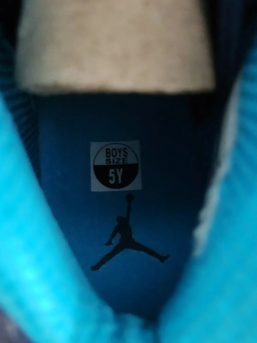 2 for 1 Air Jordan 10 size 5y